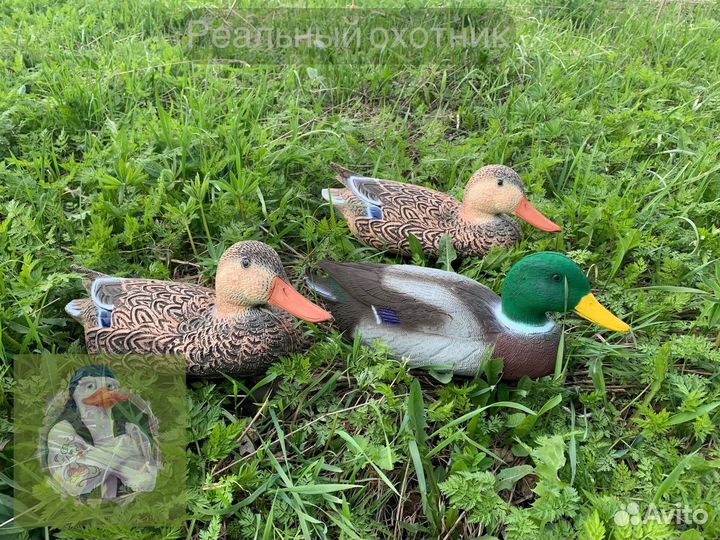 Чучела уток Sport Plast 6 шт
