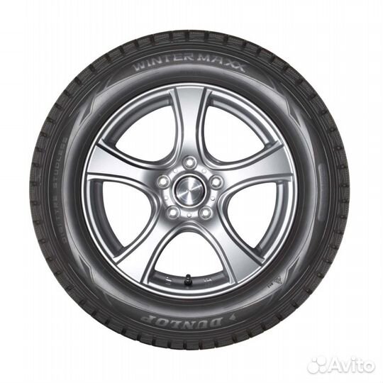 Dunlop Winter Maxx WM01 205/65 R16 95T