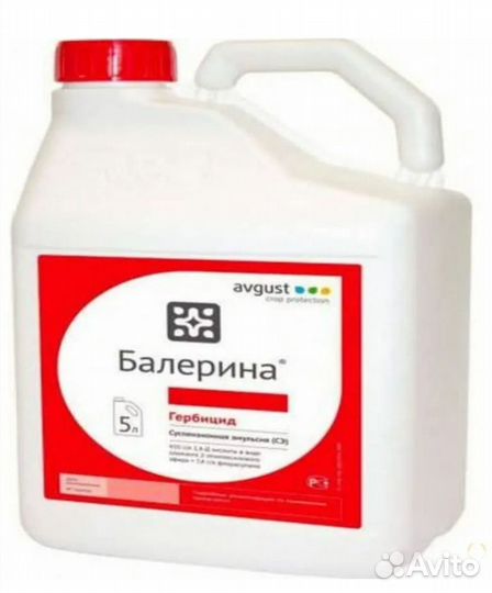 Балерина, примадонна, аминка фло, балет