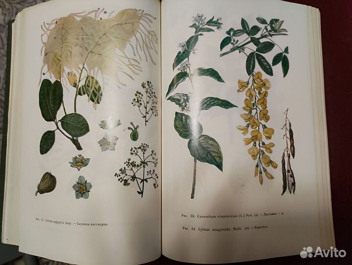 Книга Фитотерапия, Д. Йорданов 1976 г