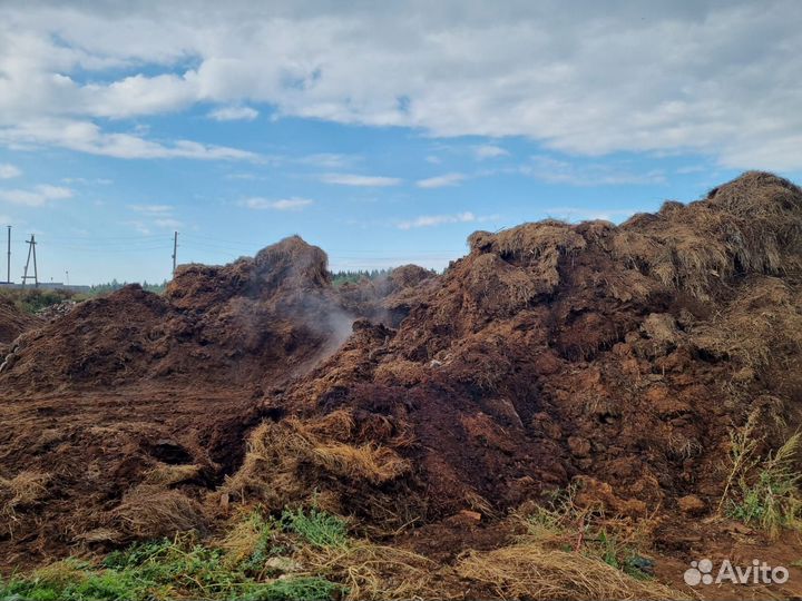 Конский навоз