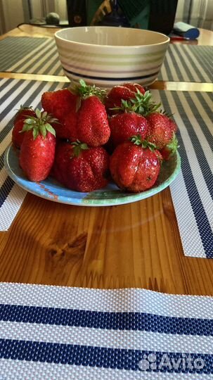 Клубника куст