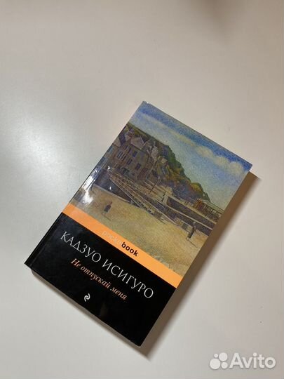 Не отпускай меня Книга