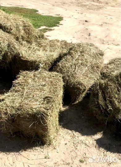 Сено в тюках