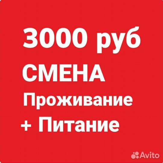 Работа Вахтой вакансия Комплектовщик в Москве
