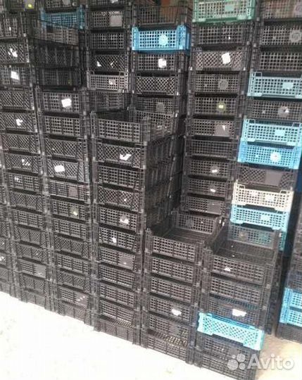 Пластиковые ящики бу для ягоды, грибов и овощей