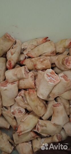 Мясо свинина