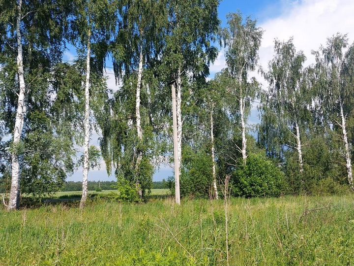 Участок 14,7 сот. (ИЖС)