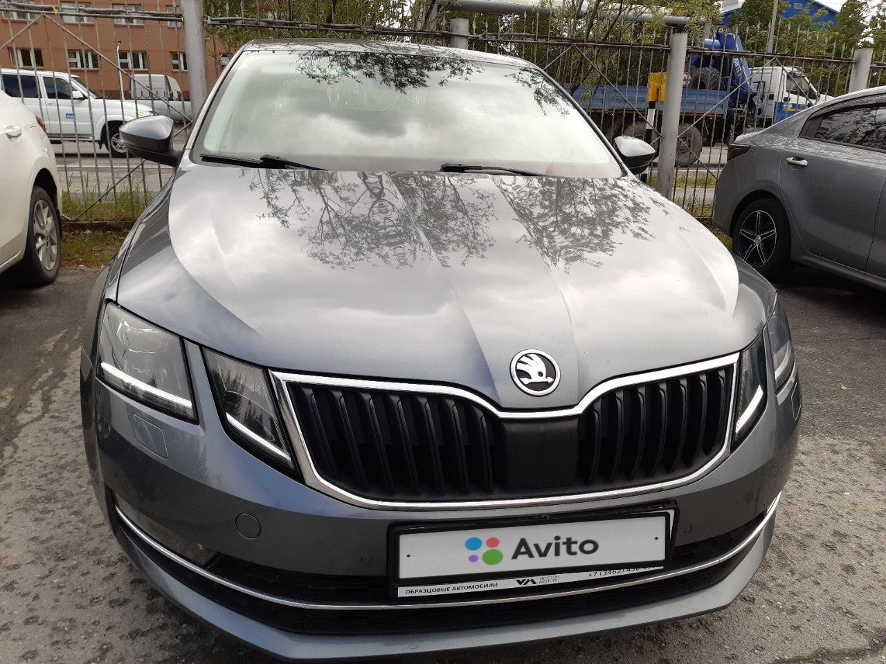 Skoda Octavia: фото владельца