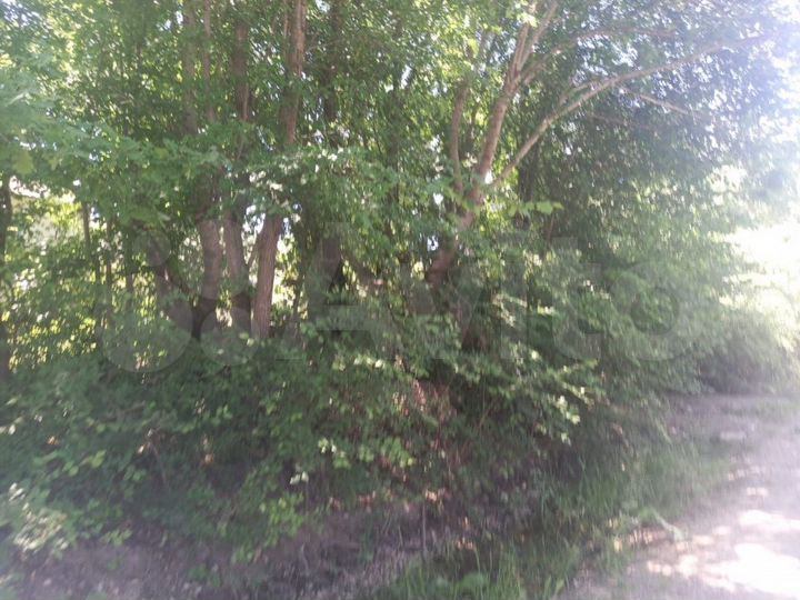 Участок 3,5 сот. (СНТ, ДНП)