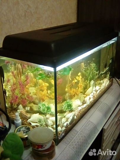 Аквариум 100 л. + рыбки