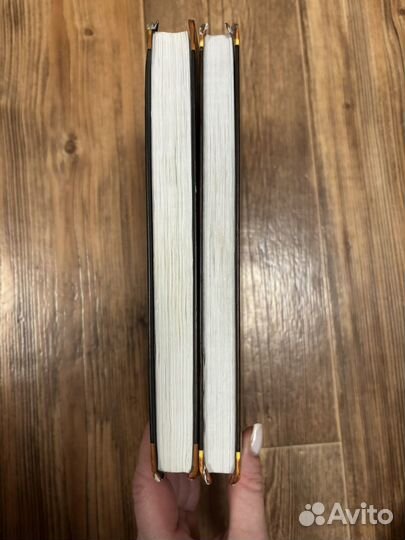 Коты воители Судьба небесного племени