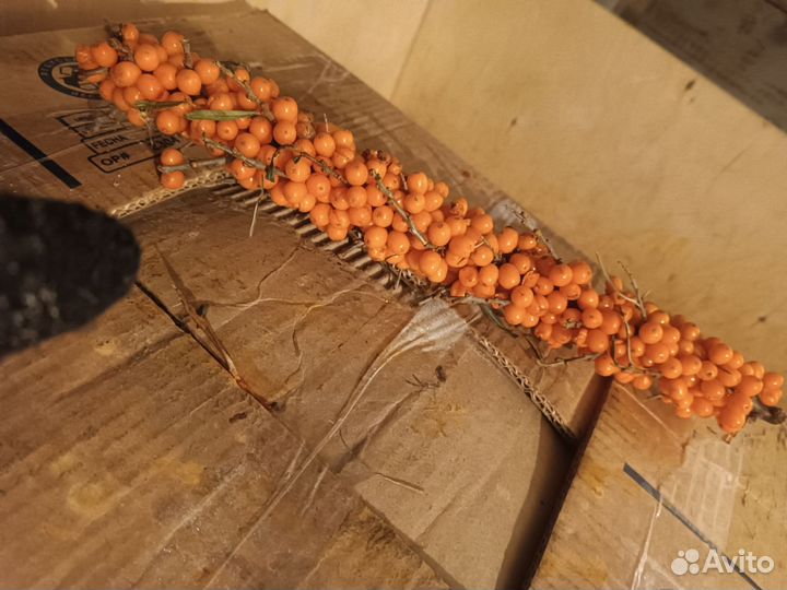 Облепиха замороженная