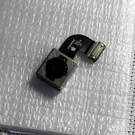 Камера iPhone 8