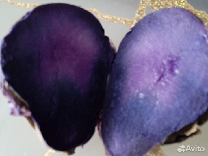 Картофель фиолетовый