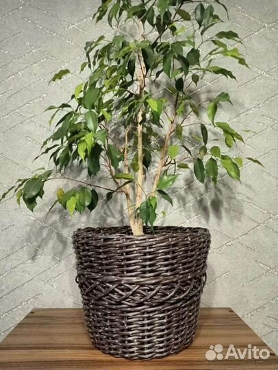 Корзина плетеная