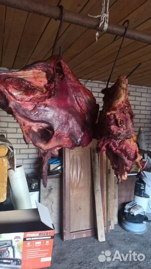 Мясо для собак