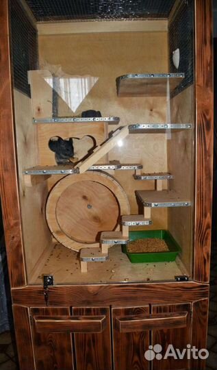 Витрина для шиншилл