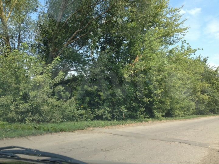 Участок 59 сот. (ИЖС)