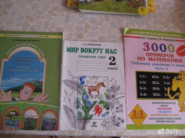 Окружающий мир 2-й класс