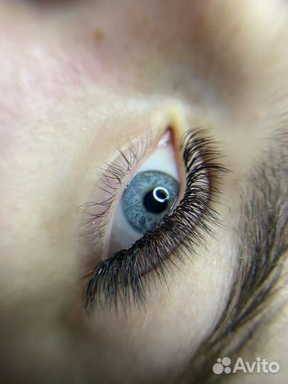 Наращивание ресниц, оформление/окрашивание бровей