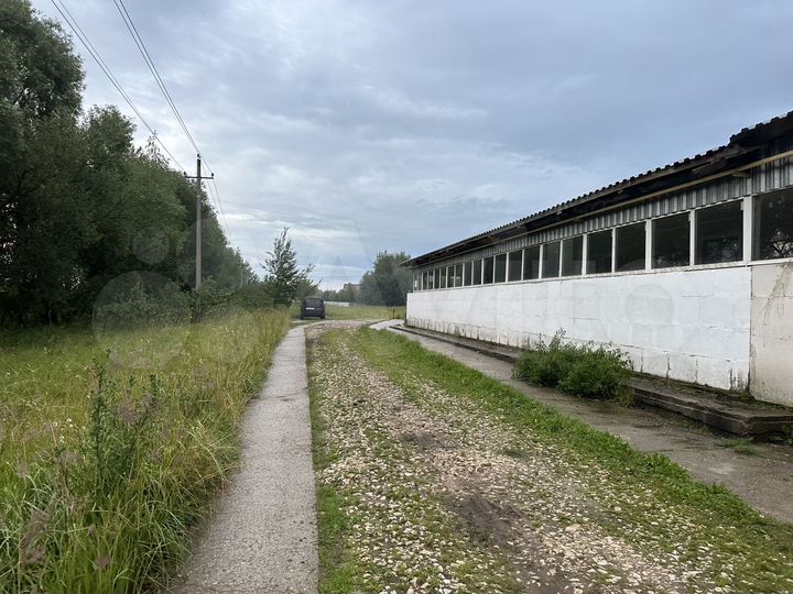 Здание, 2400 м²