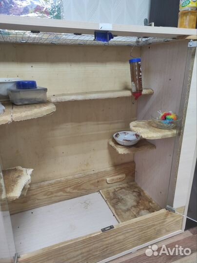 Витрина для шиншилл