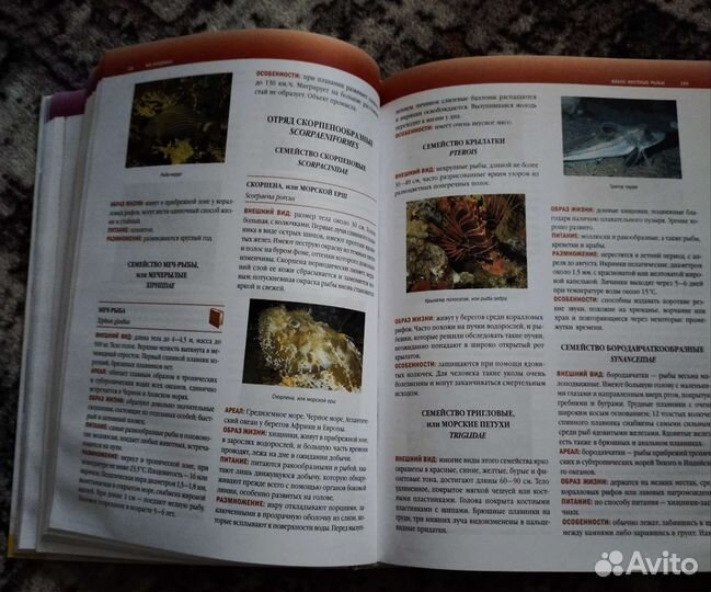 Большая иллюстрированная энциклопедия животных