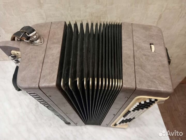 Баян тульский