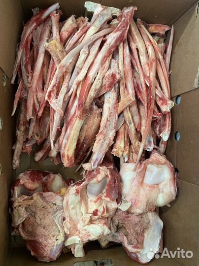 Кости говяжьи