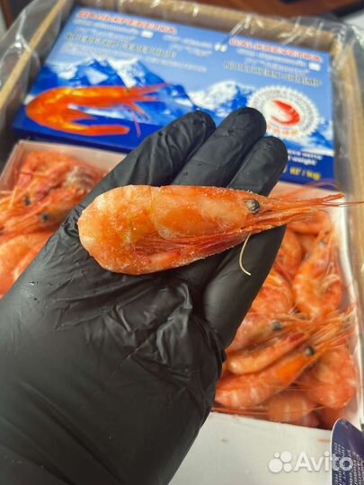 Креветка Северная Сахалинская 70/90