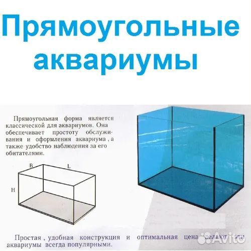 Аквариум для рыб, улиток. Дендрариум