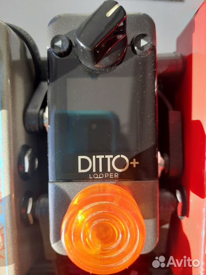 TC Electronic ditto+ looper