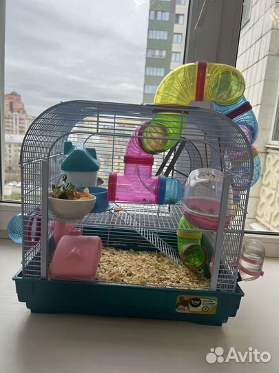 Клетка для джунгарского хомяка
