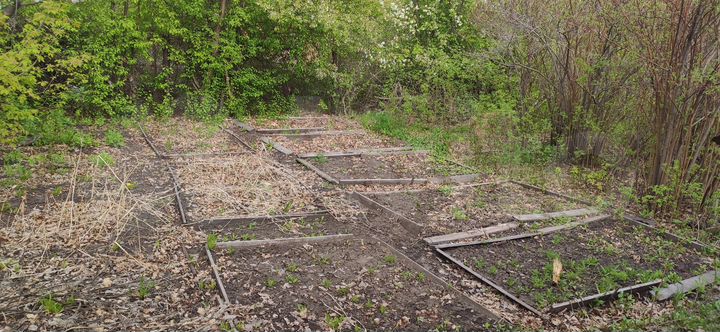 Участок 6 сот. (СНТ, ДНП)