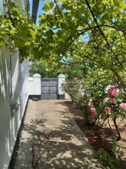 Дом 36 м² на участке 4,5 сот.