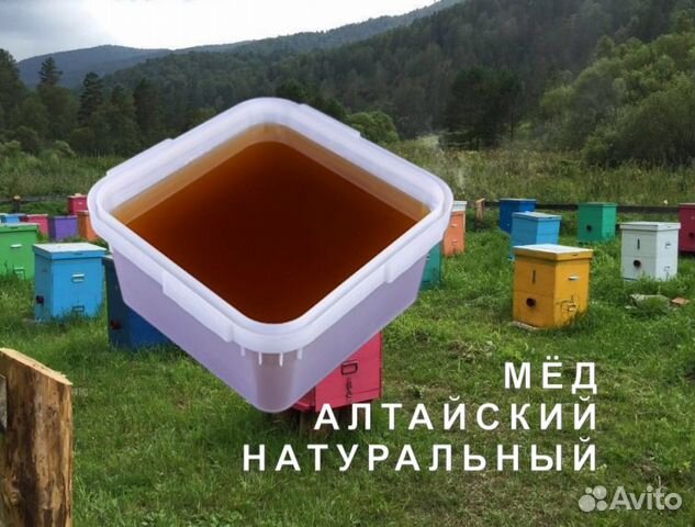 Мёд натуральный из Алтая опт купить в Тюмени | Товары для дома и дачи ...
