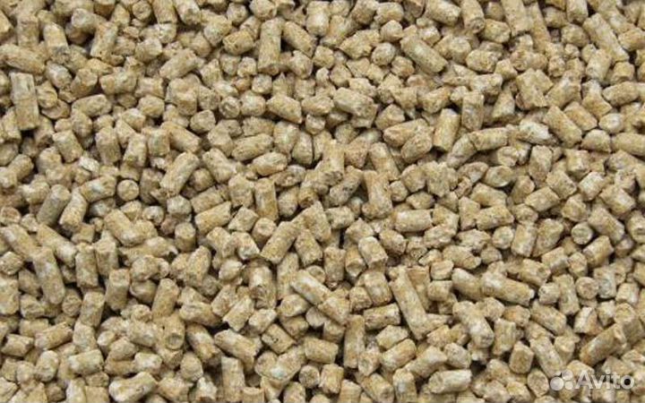 Старт для поросят