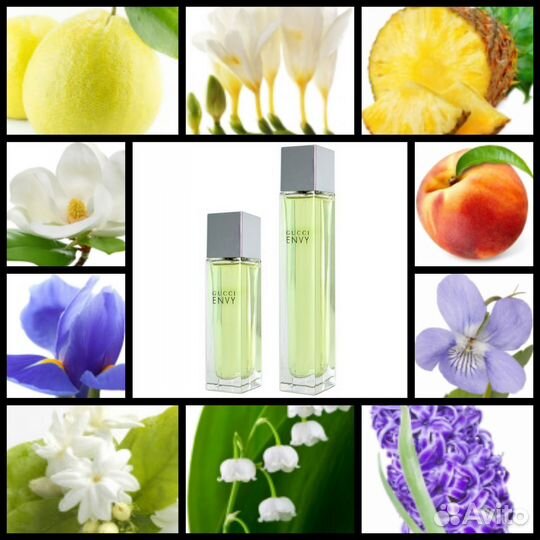Gucci envy
