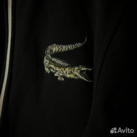 Zip Lacoste original