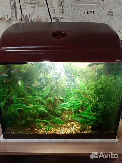 Аквариум 60л