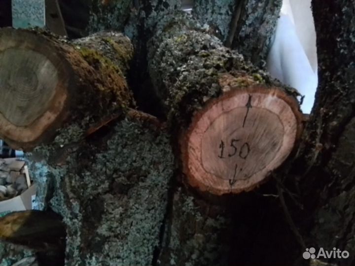 Дубовые поленья