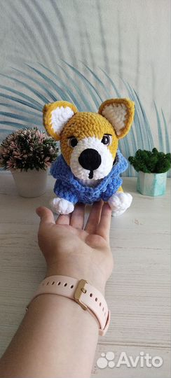 Щенок Корги