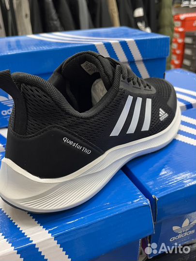 Кроссовки Adidad questar TND