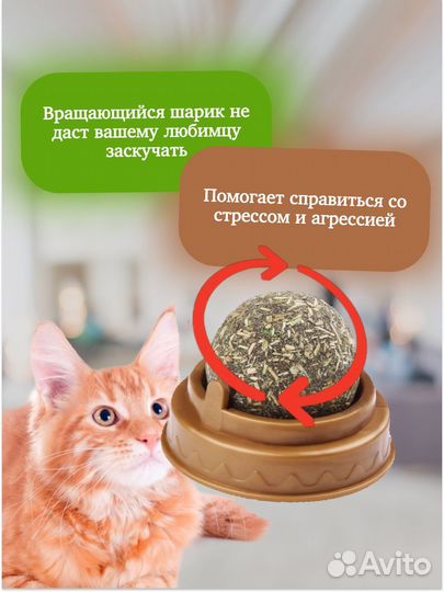 Графический дизайнер удаленно