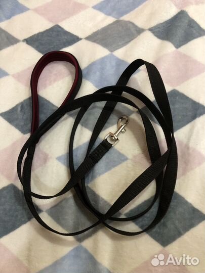 Ошейники и поводки для собак