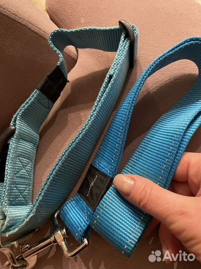 Ошейник с поводком петлей rogz для крупной собаки