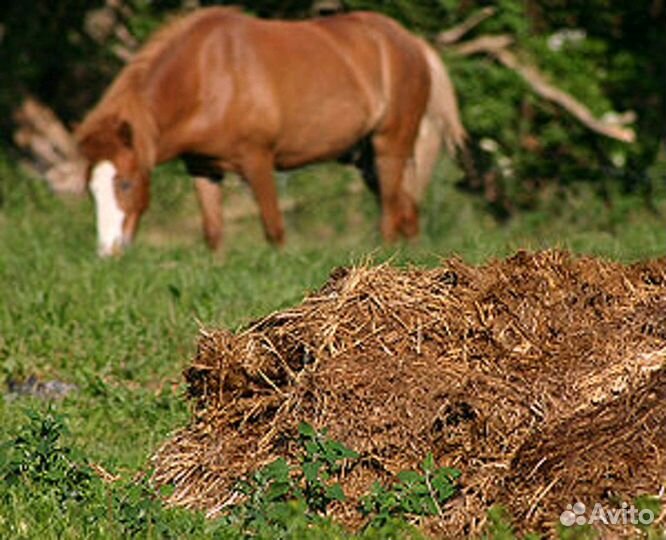 Конский перегной, доставка от 50ти мешков