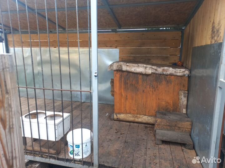 Клетка вольер для собак