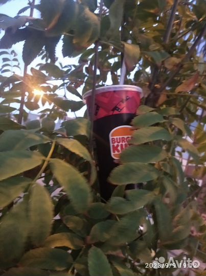 Стакан из бургер Кинга